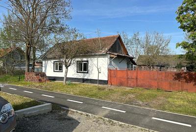 Casă cu Teren 1500 Mp în Tormac - 4