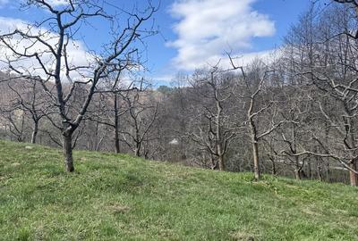 Spațiu comercial, în Râu Alb de Jos - 6