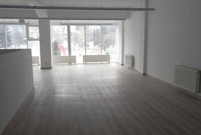 Spațiu comercial, de 400 mp, în Ultracentral - 4