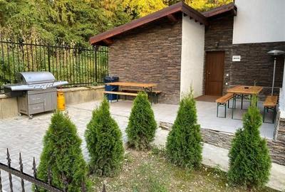 Eleganta si stil, in peisagistica montana, Rezidential/ Pensiune, Predeal, Braso - 8