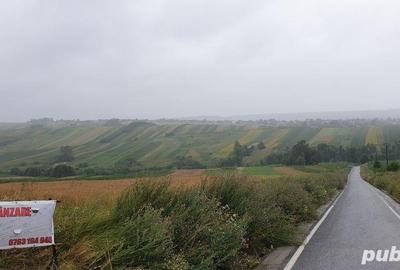 Teren de 2900 mp, în Tătăruși