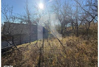 Teren de 3250 mp, în Cozieni - 8