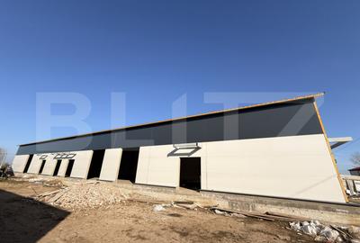 Spațiu comercial, de 1,770 mp, în Aeroport - 5