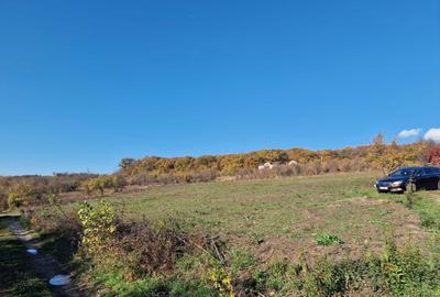 Spațiu comercial, în Central - 4