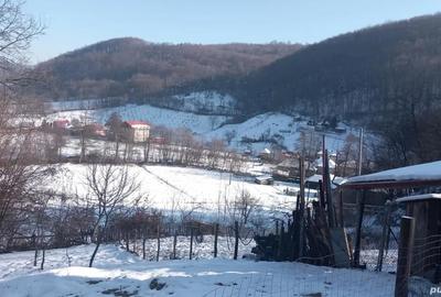 Casă cu Teren 720 Mp în Bratca - 5