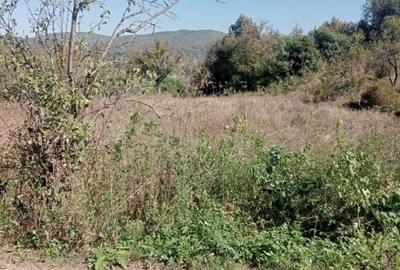 Teren intravilan de 3150 mp, în Moigrad-Porolissum - 1