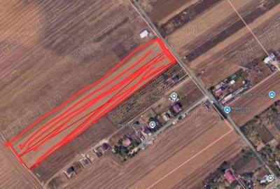 Teren vanzare extravilan Postavari, Ilfov, Berceni, 4200mp - 4