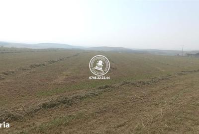 Spațiu comercial, în Horlești - 1