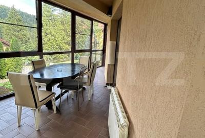 Vila zona superba Predeal - 15