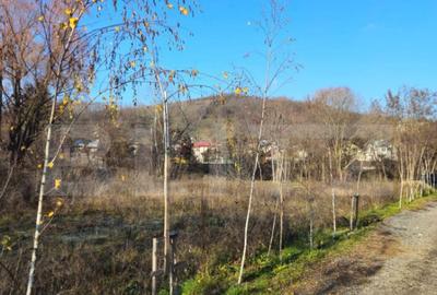 Teren intravilan 738 mp, zona Viforata, Comision 0 - 1