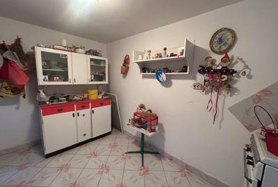 Casa plan parter, 63 mp utili, 366 mp utili, Bariera Valcii - 4