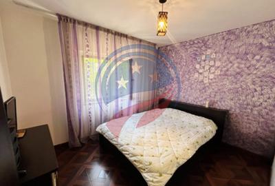 Apartament cu 2 camere semidecomandat, mobilat în Brazda lui Novac - 2