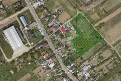 Teren de 6787 mp, în Topliceni - 1