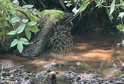 Spațiu comercial, în Vișagu - 6