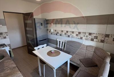 Apartament cu 2 camere, mobilat în Bordei - 8