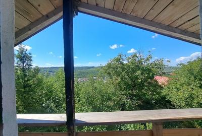 Vand casa ca la munte dar în Iasi - 8