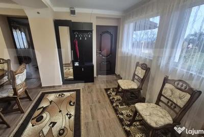 Casă cu 2 camere cu Canalizare în Viile Satu Mare - 9