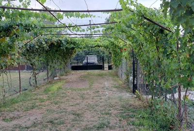 Casă cu 2 camere în Spineni - 2