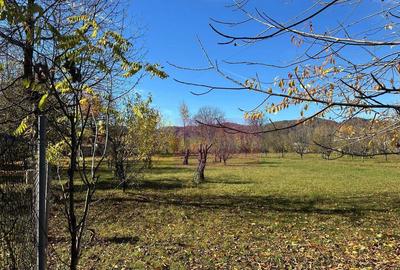 Teren de 1688 mp, în Brebu - 1