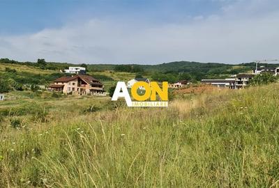 Teren zona Ana AslanCetate Schit Teren zona Ana AslanCetate Schit - 3