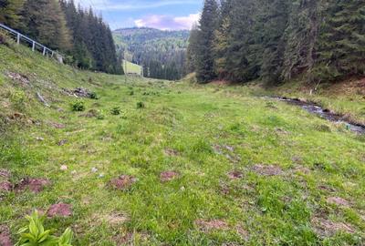 Spațiu comercial, în Arieșeni - 4