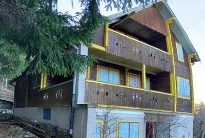 Casă cu Teren 2800 Mp în Muntele Băișorii - 1