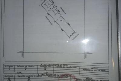 Casa batraneasca locuibila, cu teren generos de 1500 mp,IF Dascalu, langa Profi - 10