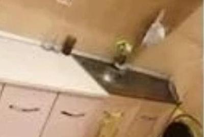 Apartament 2 camere Berceni - 3