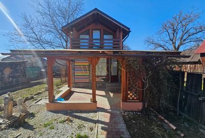 Casă individuală cu 1 camere cu Teren 500 Mp în Rusu Bârgăului - 2