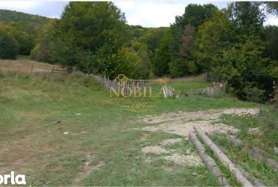 Teren de 15355 mp, în Central - 4