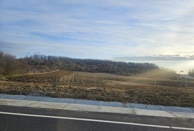 Teren de 8443 mp, în Podu Broșteni - 1