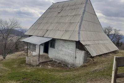 Casă individuală cu 2 camere cu Teren 36500 Mp în Albac - 1