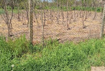 Spațiu comercial, în Rasa - 3