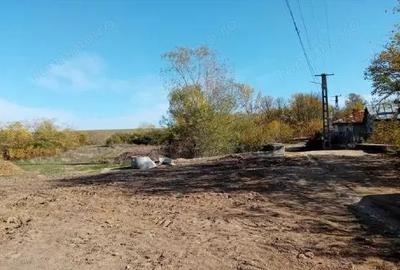 Cota de 1/4 dinteren extravilan- com. Buzoesti, jud. Arges - 4