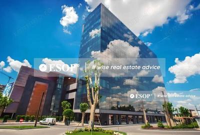 United Business Center Timisoara, 200 - 32.000 mp, birouri - 1