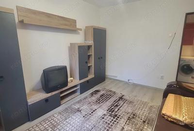 Vand 1 cam Tudor - 3