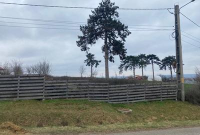 Comision 0%! Panorama superba, intravilan, 7631mp, front stradal 87m - 4