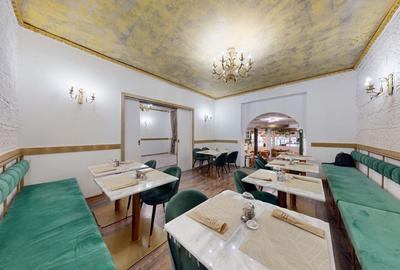 Spatiu comercial cu teren Arcul de Triumf - 10