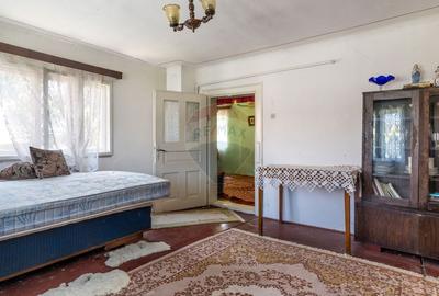 Casa cu gradina de vanzare in Copaceni - 12