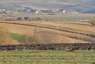 Teren agricol extravilan de 10200 mp, în Stroiești - 9