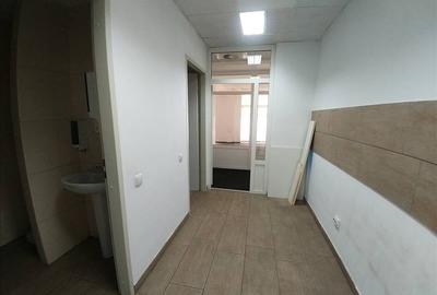 Birouri de inchiriat in zona parcului - 11