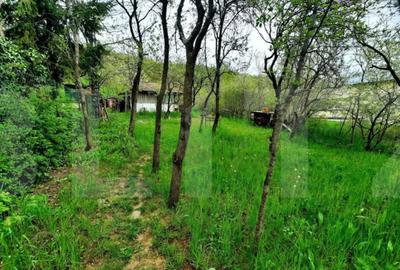 Teren de 3040 mp, în Grigorescu - 2