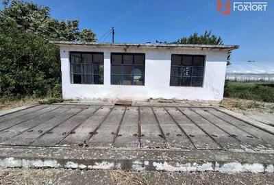 COMISION 0% Spatiu industrial de 695 mp si teren de 1821 mp - Giulvaz - 10