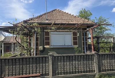 Casă cu 3 camere cu Teren 5000 Mp în Central