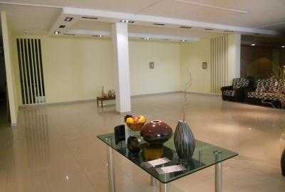 Showroom mobila-prod.+birouri  500 -1500 mp , Gh. Doja , pret 3.6 euro/ mp - 4