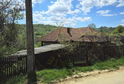 Teren 1200 mp + Casa - Comuna Arefu - 2