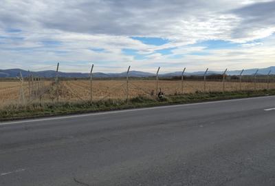 Teren Construcții intravilan de 14500 mp, în Exterior Nord - 11