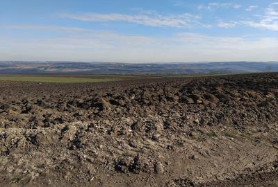 Spațiu comercial, în Grănicești - 5