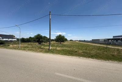 Teren de 10000 mp, în Brănești - 4