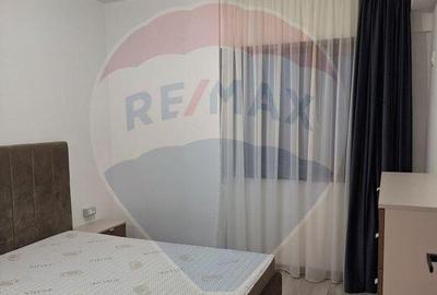 Apartament cu 2 camere semidecomandat, mobilat în Brazda lui Novac
